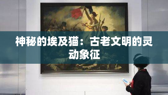 神秘的埃及猫：古老文明的灵动象征