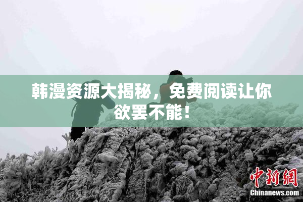 韩漫资源大揭秘，免费阅读让你欲罢不能！