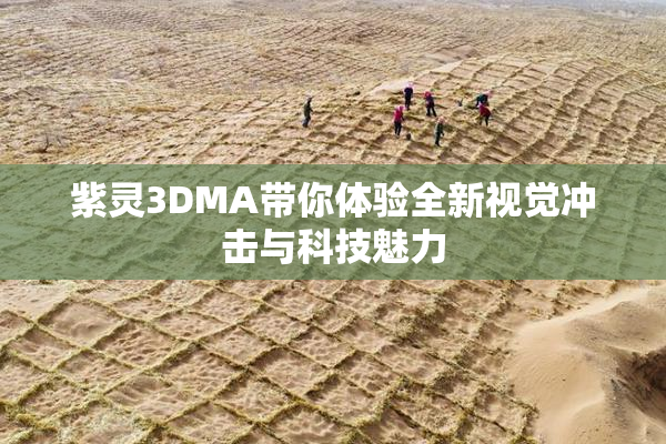 紫灵3DMA带你体验全新视觉冲击与科技魅力