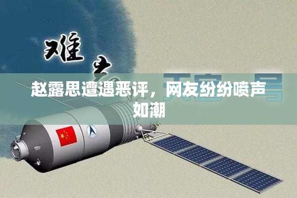 赵露思遭遇恶评，网友纷纷喷声如潮