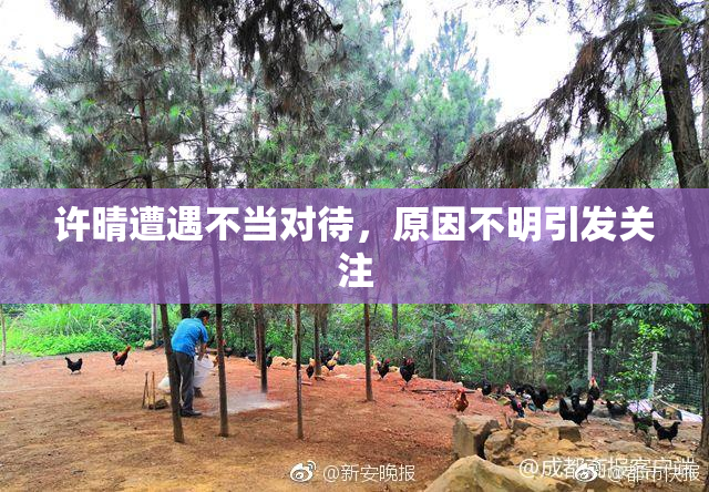 许晴遭遇不当对待，原因不明引发关注