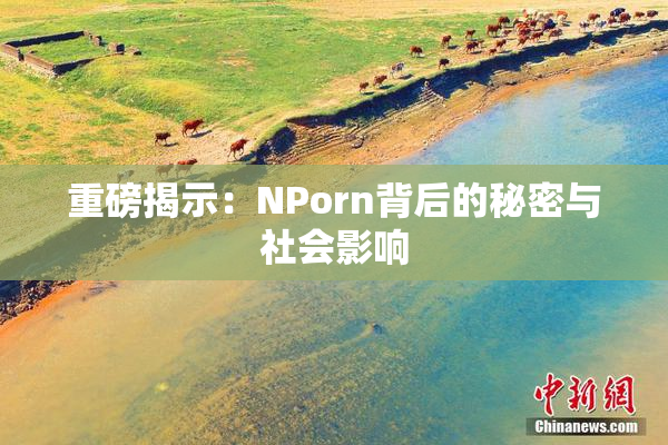 重磅揭示：ΝPorn背后的秘密与社会影响