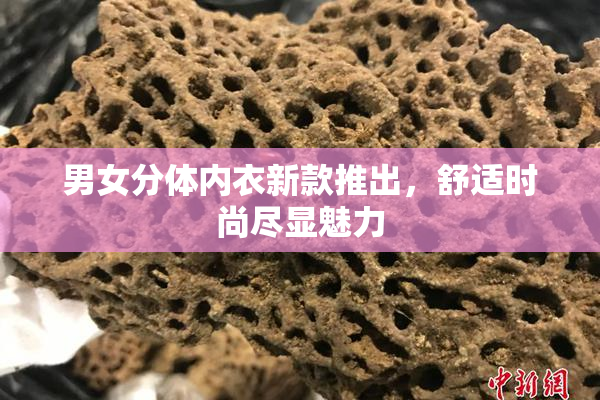 男女分体内衣新款推出，舒适时尚尽显魅力