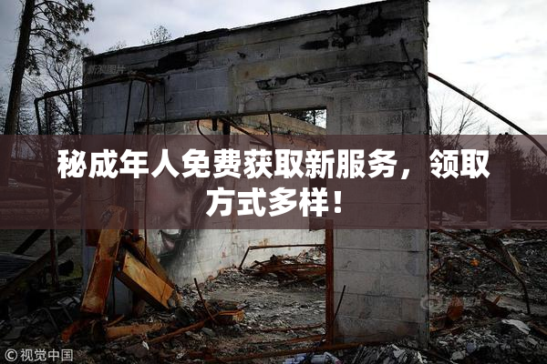 秘成年人免费获取新服务，领取方式多样！