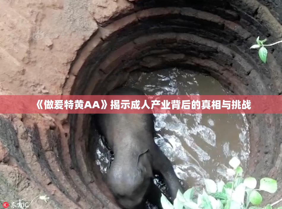 《做爰特黄AA》揭示成人产业背后的真相与挑战