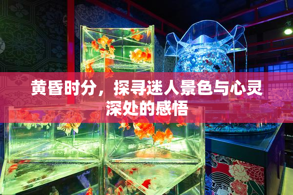 黄昏时分，探寻迷人景色与心灵深处的感悟
