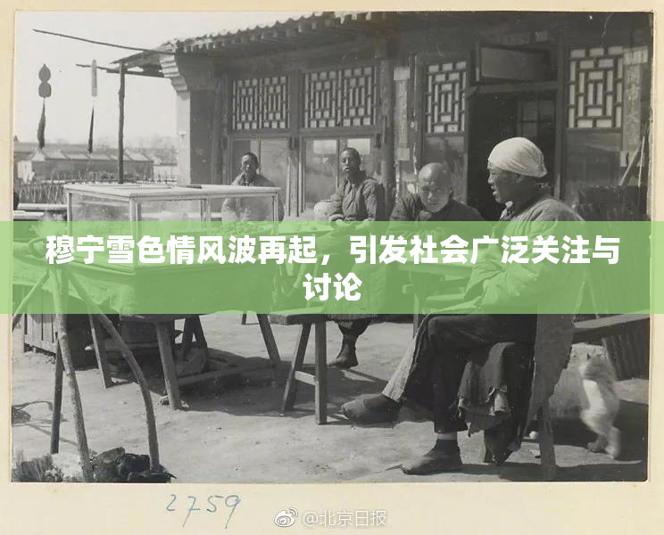 穆宁雪色情风波再起，引发社会广泛关注与讨论
