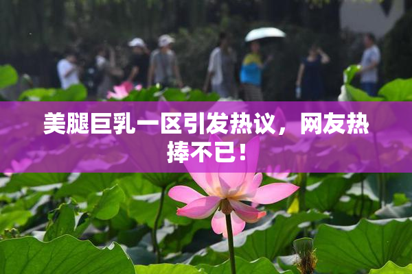 美腿巨乳一区引发热议，网友热捧不已！