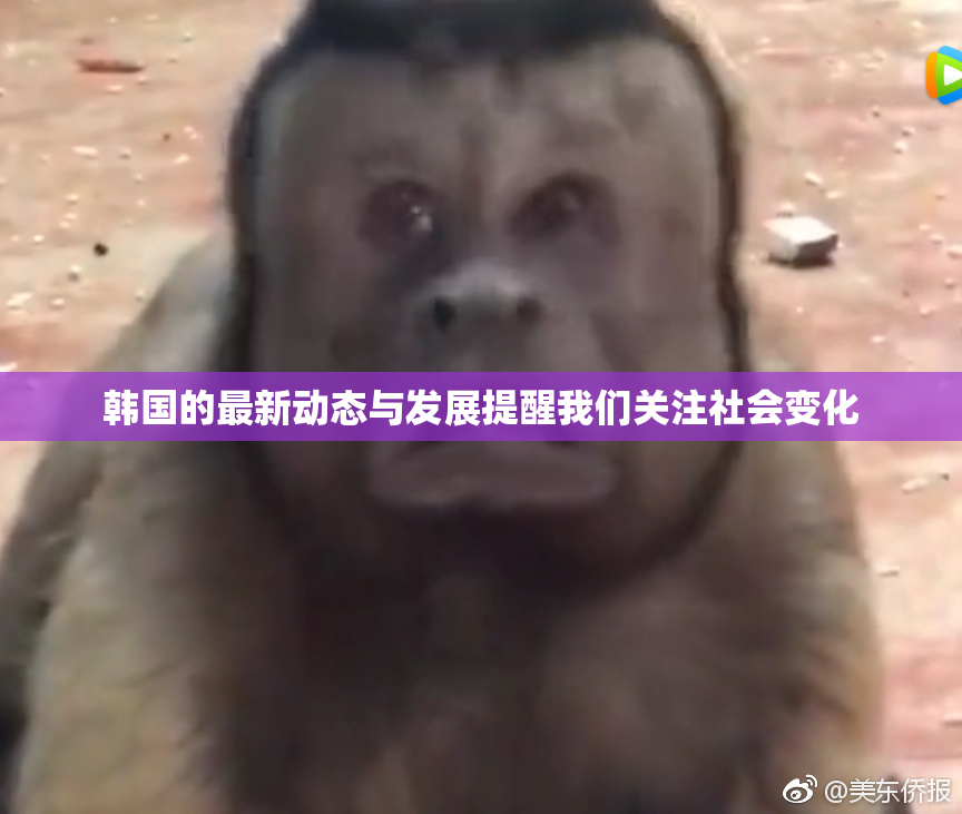 韩国的最新动态与发展提醒我们关注社会变化