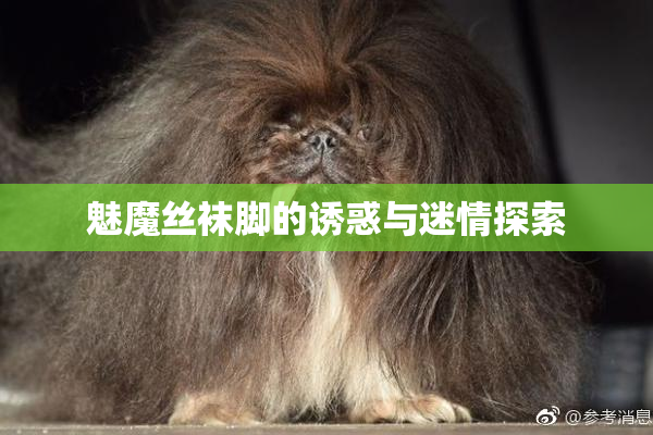 魅魔丝袜脚的诱惑与迷情探索