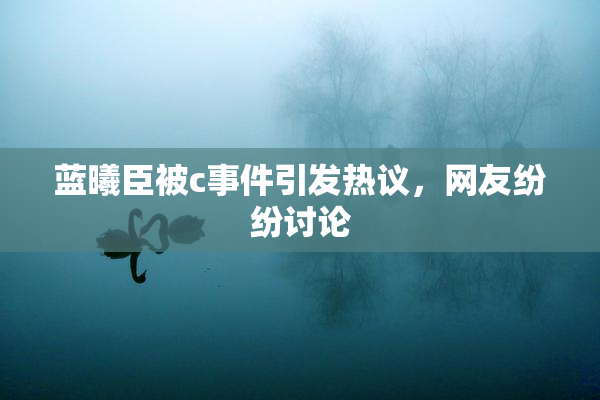 蓝曦臣被c事件引发热议，网友纷纷讨论