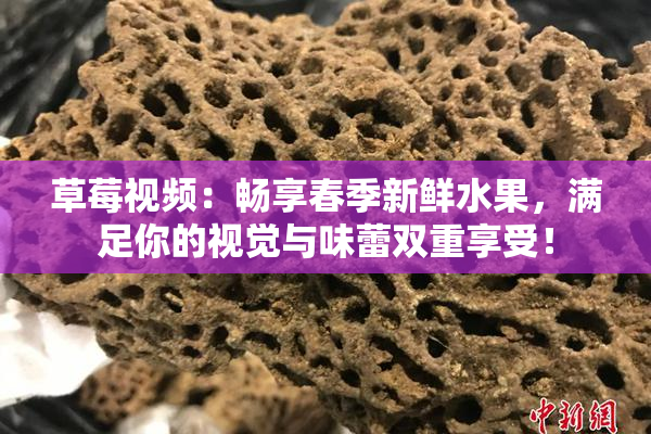 草莓视频：畅享春季新鲜水果，满足你的视觉与味蕾双重享受！