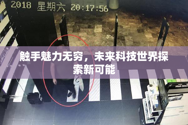 触手魅力无穷，未来科技世界探索新可能