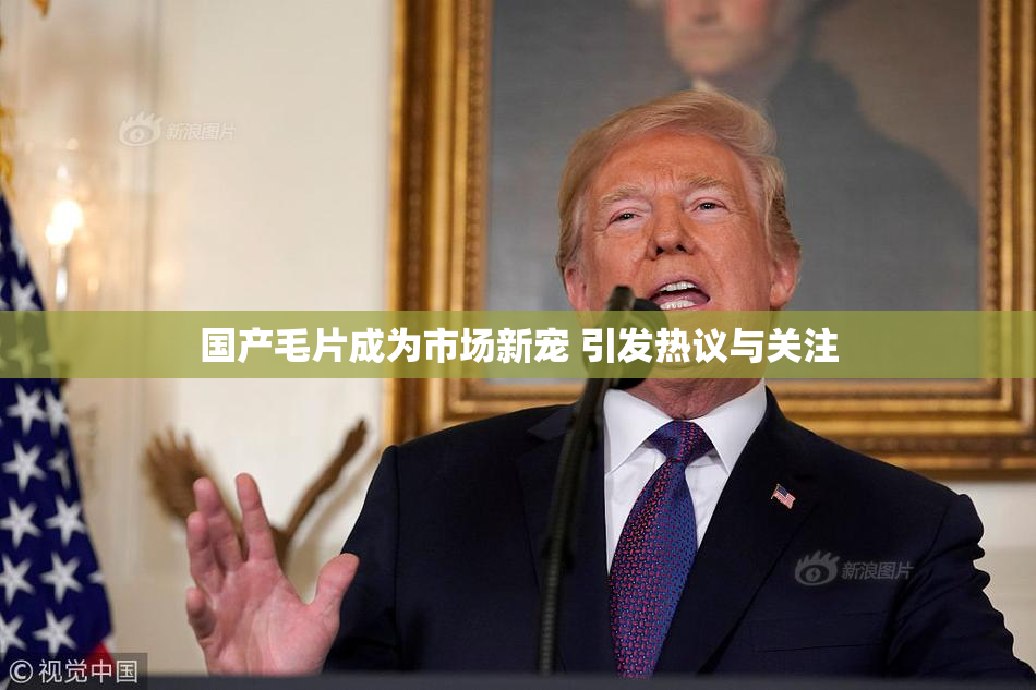 国产毛片成为市场新宠 引发热议与关注