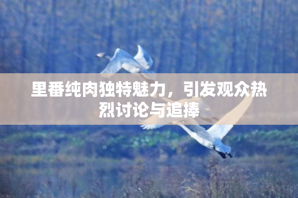 里番纯肉独特魅力，引发观众热烈讨论与追捧