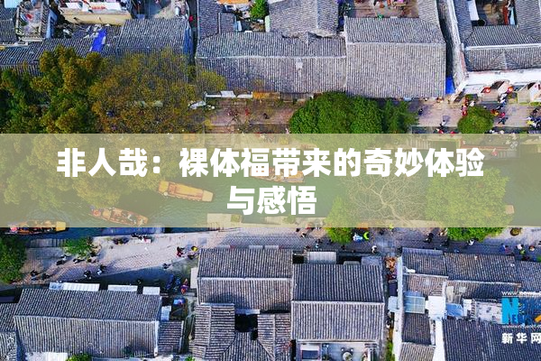 非人哉：裸体福带来的奇妙体验与感悟