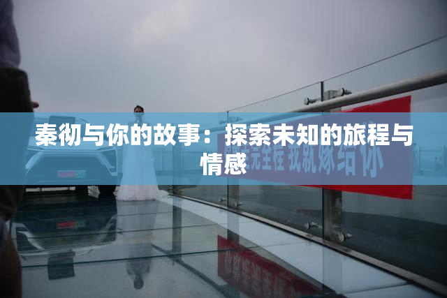 秦彻与你的故事：探索未知的旅程与情感