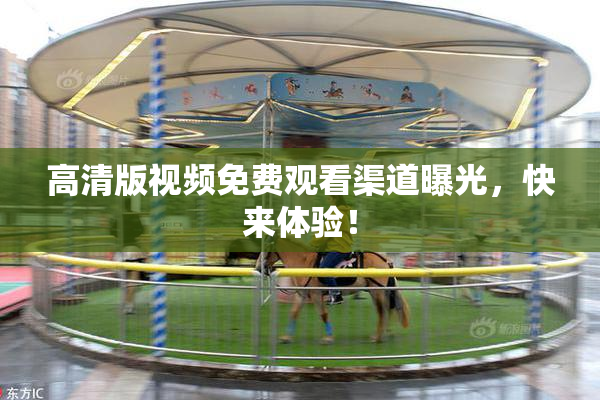 高清版视频免费观看渠道曝光，快来体验！
