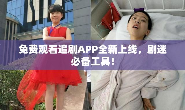 免费观看追剧APP全新上线，剧迷必备工具！