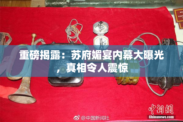 重磅揭露：苏府媚宴内幕大曝光，真相令人震惊