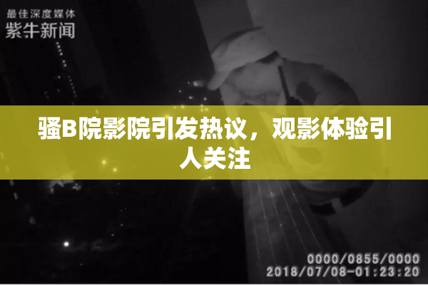 骚B院影院引发热议，观影体验引人关注