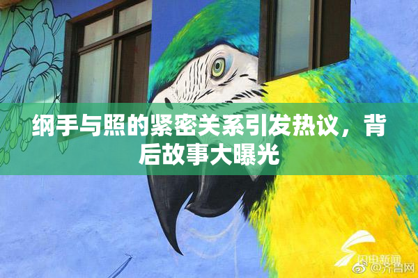 纲手与照的紧密关系引发热议，背后故事大曝光