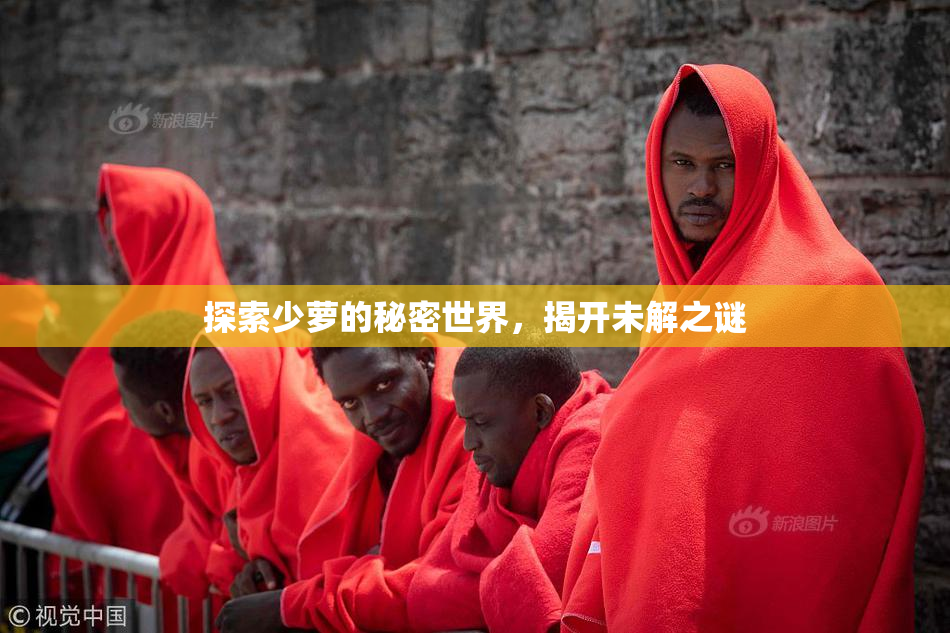 探索少萝的秘密世界，揭开未解之谜