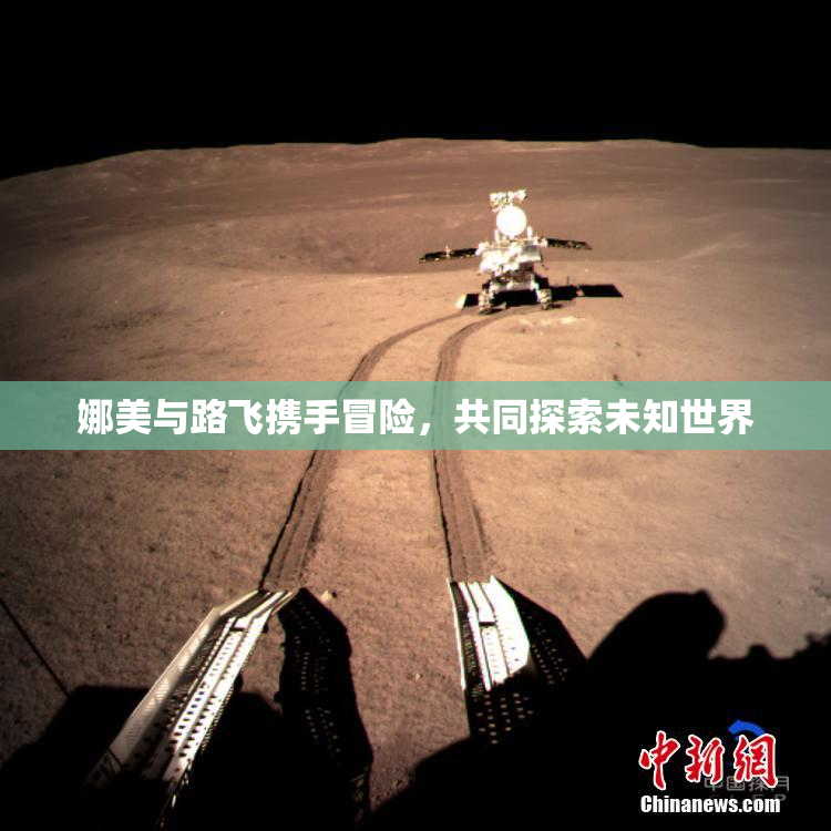 娜美与路飞携手冒险，共同探索未知世界