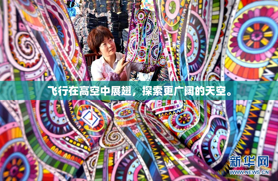 飞行在高空中展翅，探索更广阔的天空。