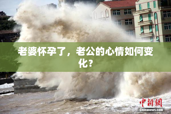 老婆怀孕了，老公的心情如何变化？