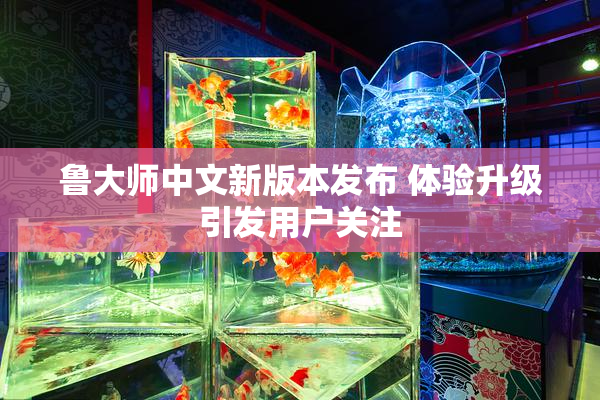 鲁大师中文新版本发布 体验升级引发用户关注
