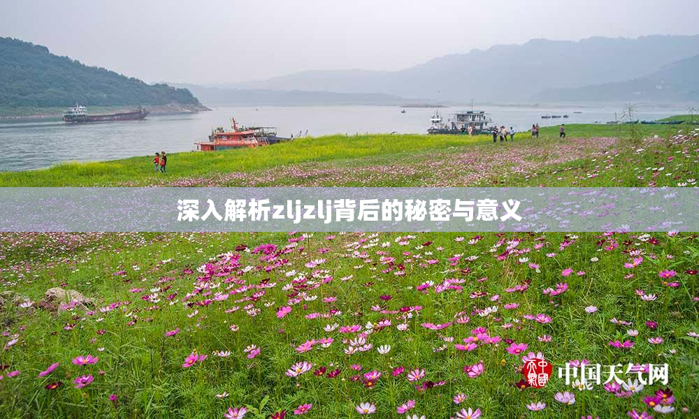 深入解析zljzlj背后的秘密与意义