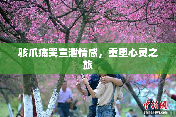 骇爪痛哭宣泄情感，重塑心灵之旅