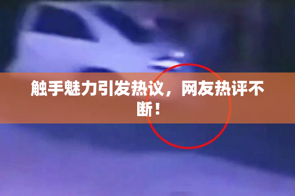 触手魅力引发热议，网友热评不断！