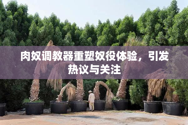 肉奴调教器重塑奴役体验，引发热议与关注