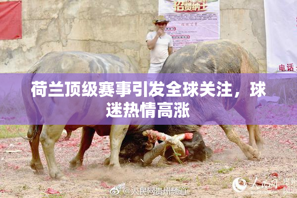 荷兰顶级赛事引发全球关注，球迷热情高涨