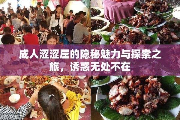 成人涩涩屋的隐秘魅力与探索之旅，诱惑无处不在