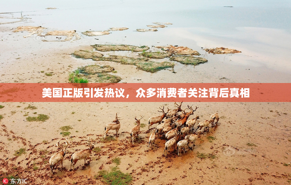 美国正版引发热议，众多消费者关注背后真相