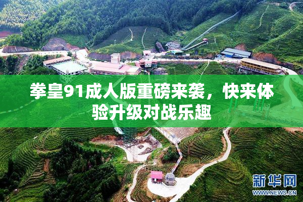 拳皇91成人版重磅来袭，快来体验升级对战乐趣