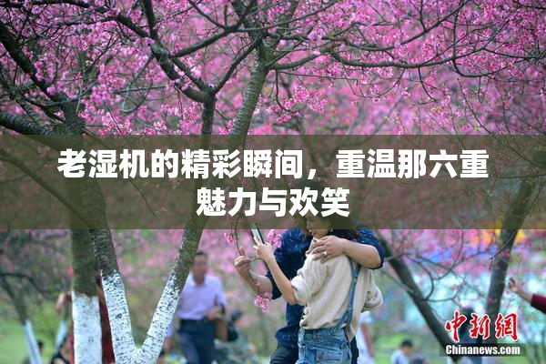 老湿机的精彩瞬间，重温那六重魅力与欢笑