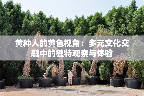 黄种人的黄色视角：多元文化交融中的独特观察与体验