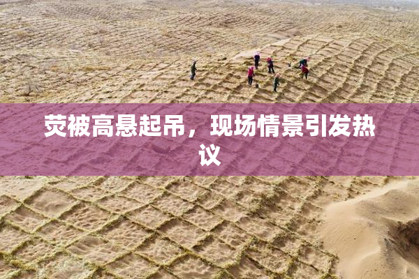 荧被高悬起吊，现场情景引发热议