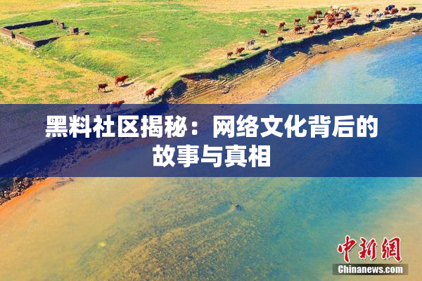 黑料社区揭秘：网络文化背后的故事与真相