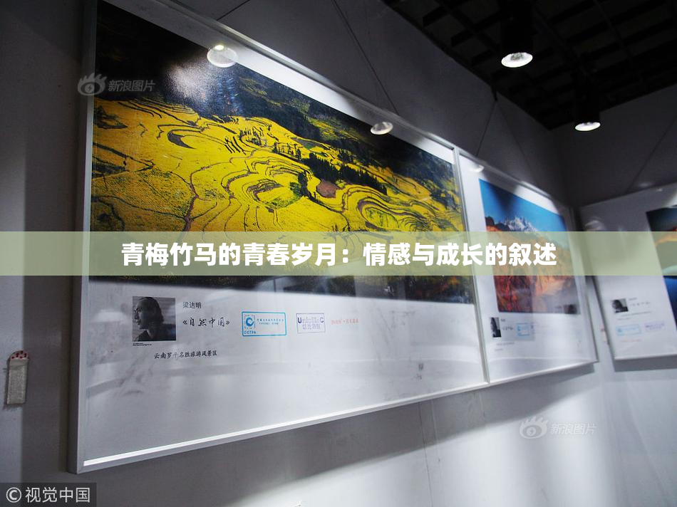 青梅竹马的青春岁月：情感与成长的叙述