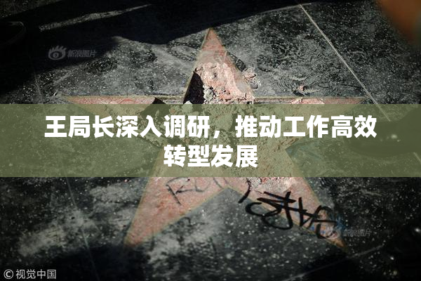 王局长深入调研，推动工作高效转型发展