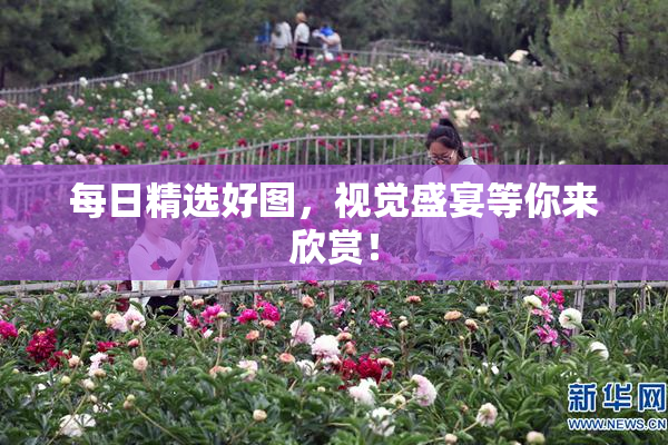 每日精选好图，视觉盛宴等你来欣赏！