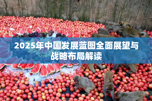 2025年中国发展蓝图全面展望与战略布局解读
