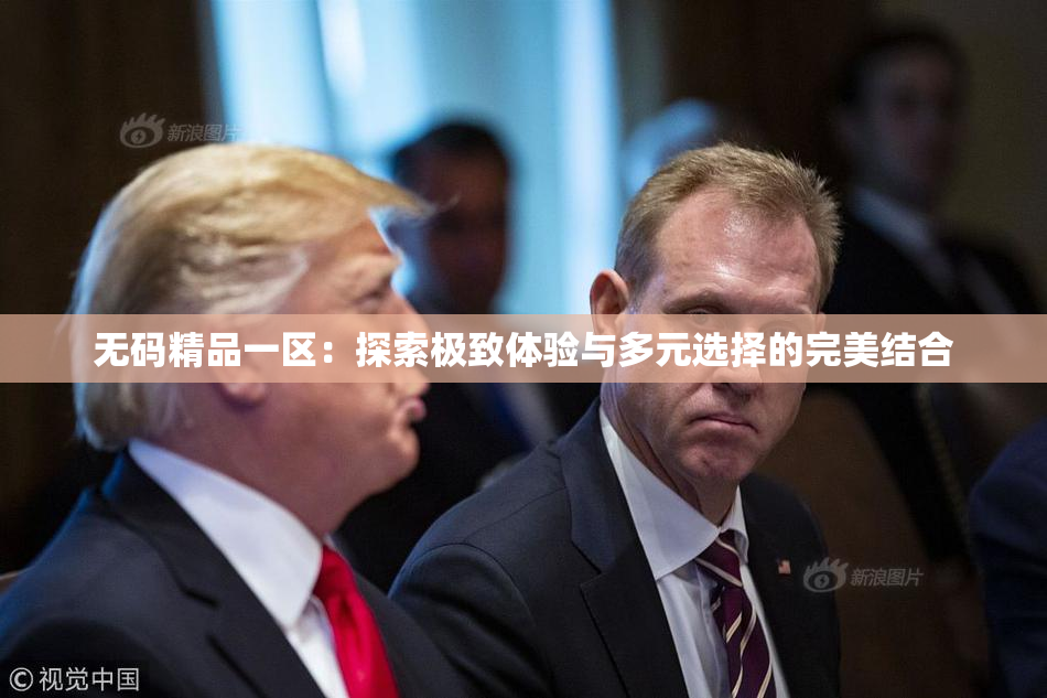 无码精品一区：探索极致体验与多元选择的完美结合