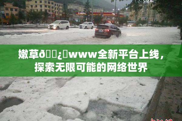 嫩草🌿‌www全新平台上线，探索无限可能的网络世界