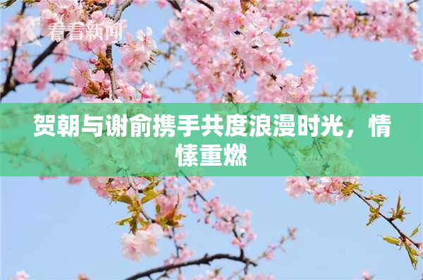 贺朝与谢俞携手共度浪漫时光，情愫重燃
